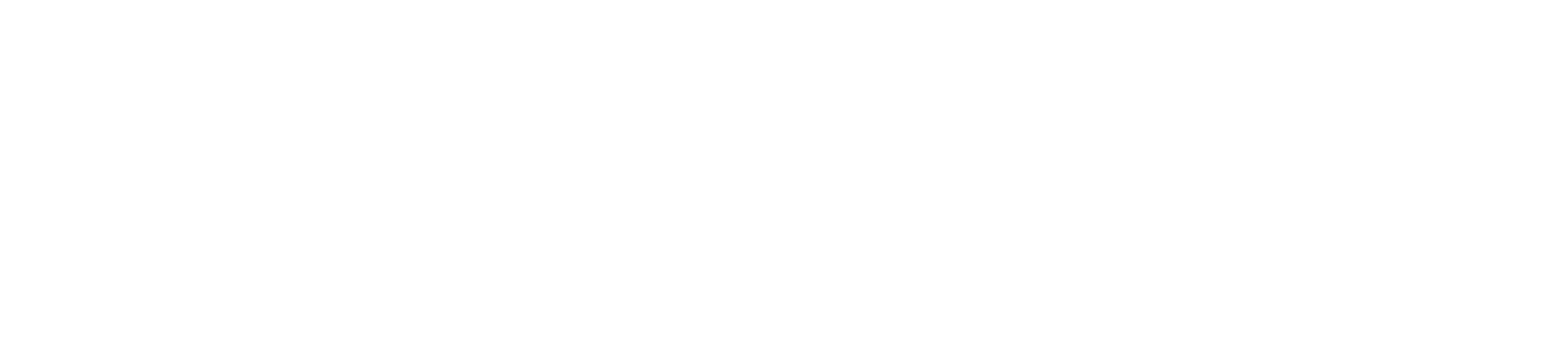 CheapDiscordBoosts Logo